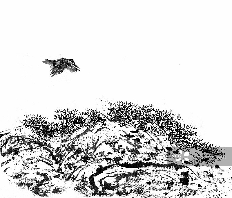 千山鸟飞尽图片素材