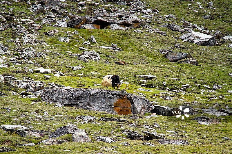 通往拉姆拉措之路图片素材