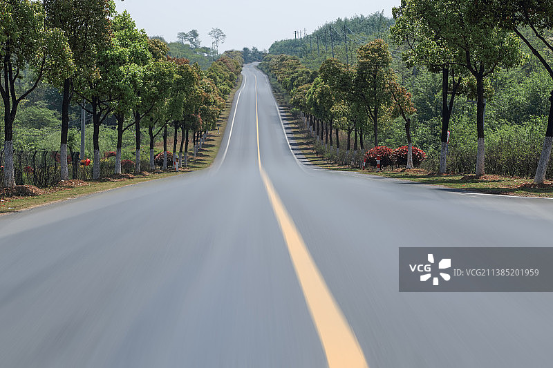 郊区空旷的道路和树林图片素材