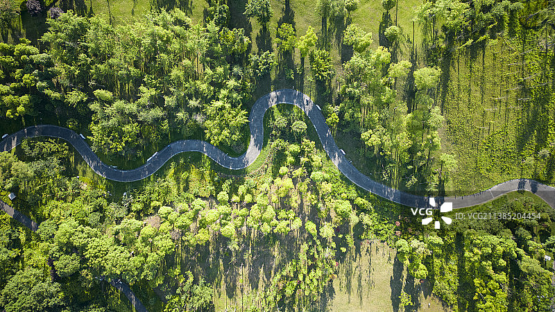 成都天府公园 小径 航拍，Chengdu, Tianfu Park, Pathway, Drone图片素材