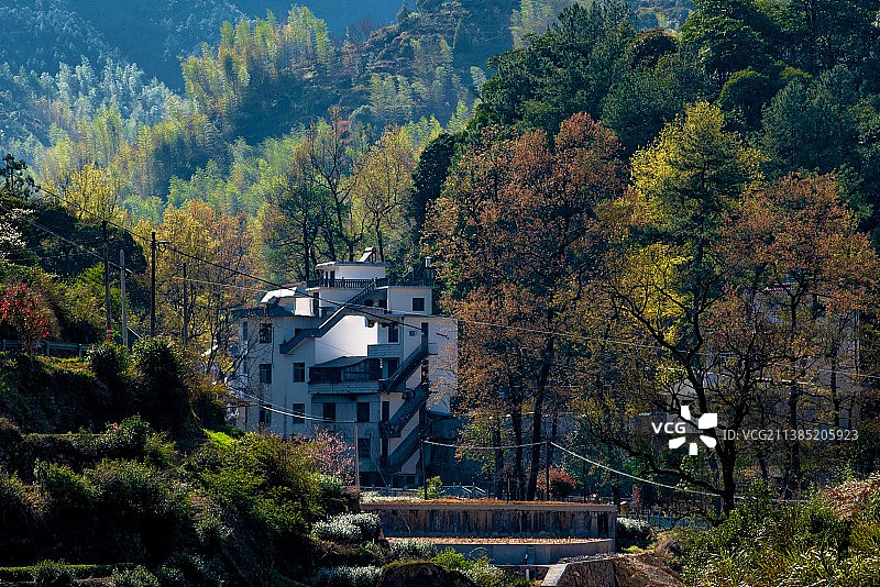 綠樹村邊合，青山郭外斜。图片素材
