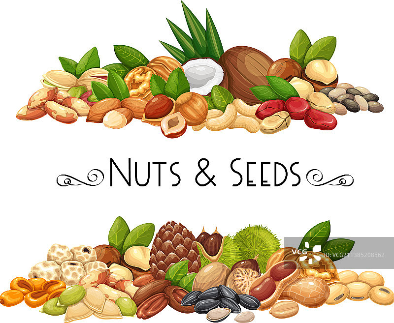 坚果种子和谷物横幅图片素材