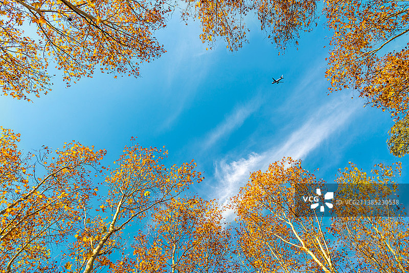 金色季节图片素材