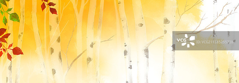 桦树清新水彩笔触设计背景全景壁纸图片素材