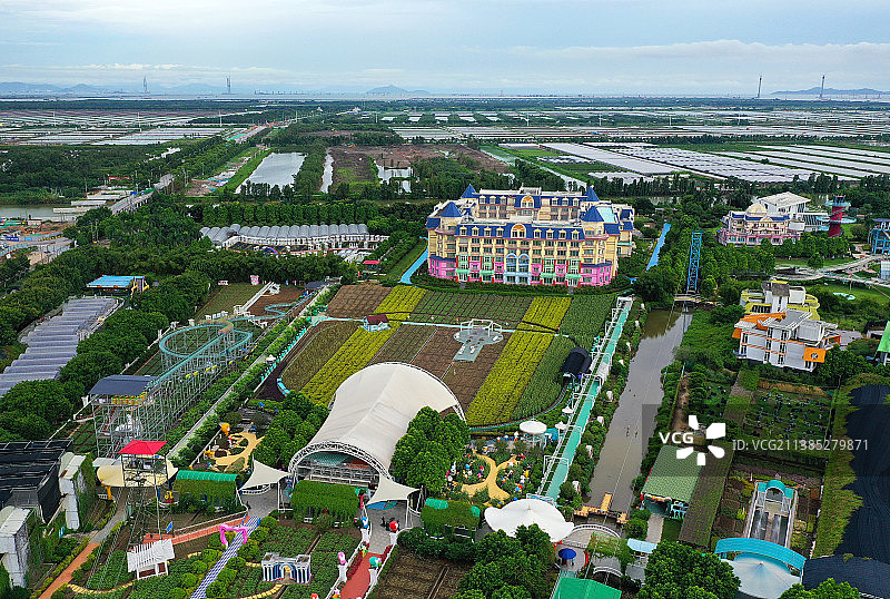 广东省广州市南沙区万顷沙镇百万葵园航拍图片素材