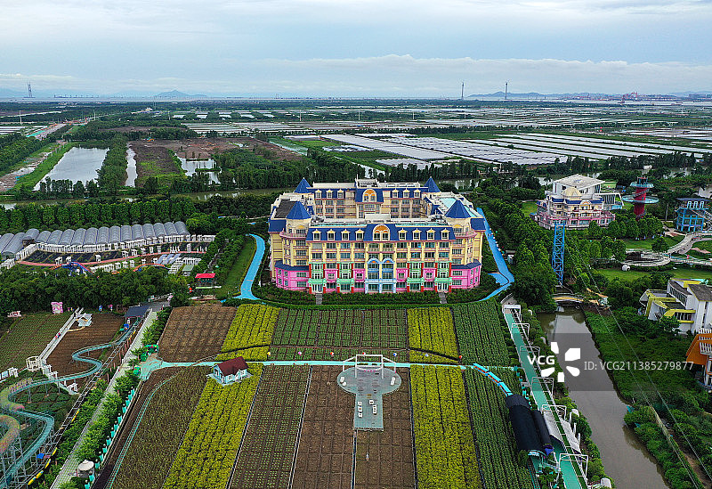 广东省广州市南沙区万顷沙镇百万葵园航拍图片素材