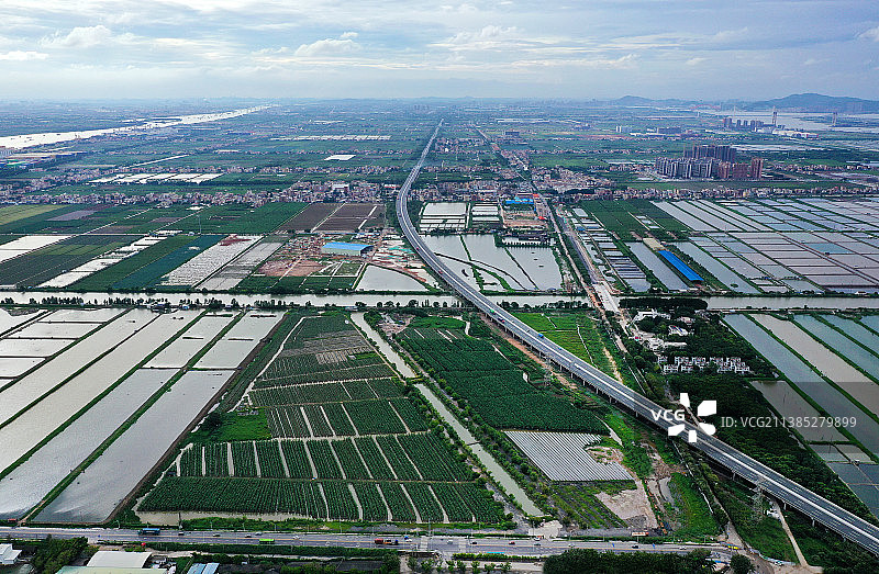 广东省广州市南沙区万顷沙镇百万葵园航拍图片素材