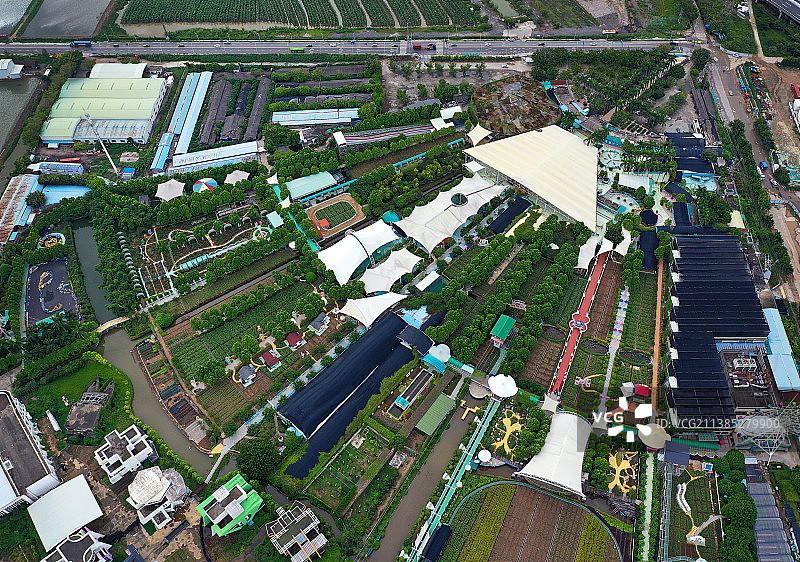 广东省广州市南沙区万顷沙镇百万葵园航拍图片素材