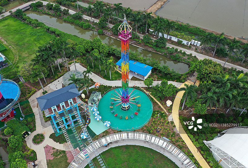 广东省广州市南沙区万顷沙镇百万葵园航拍图片素材