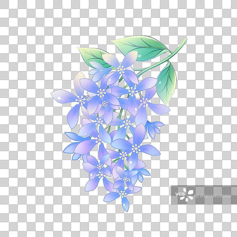 38种花卉系列素材——丁香花图片素材