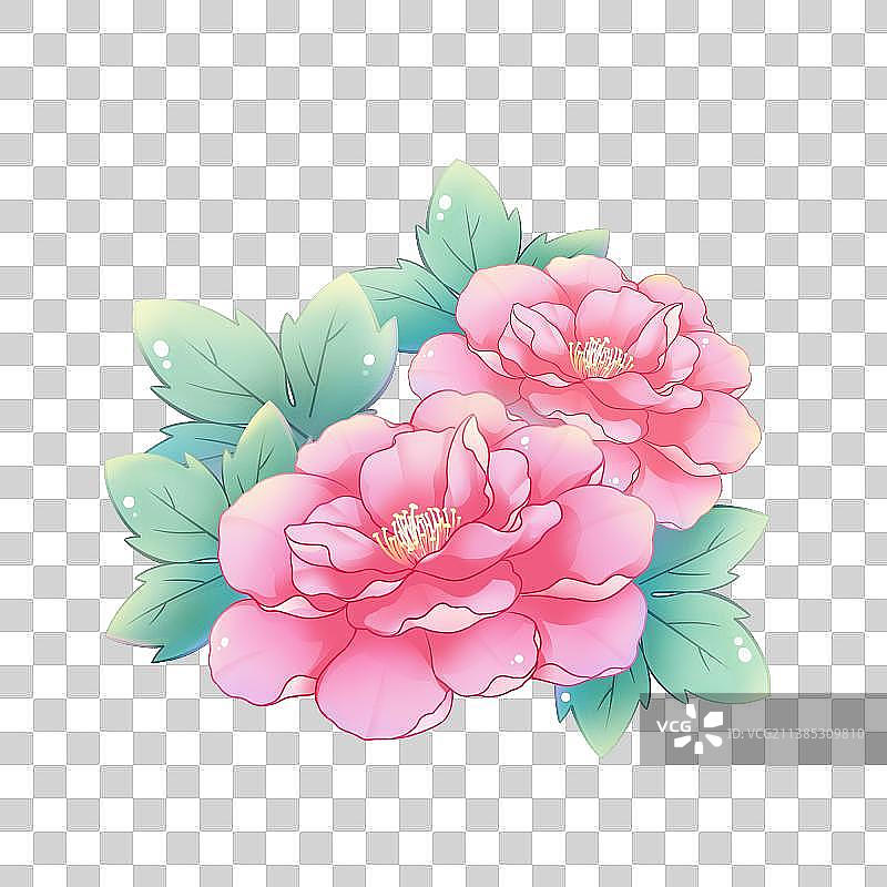 38种花卉系列素材——芙蓉花图片素材
