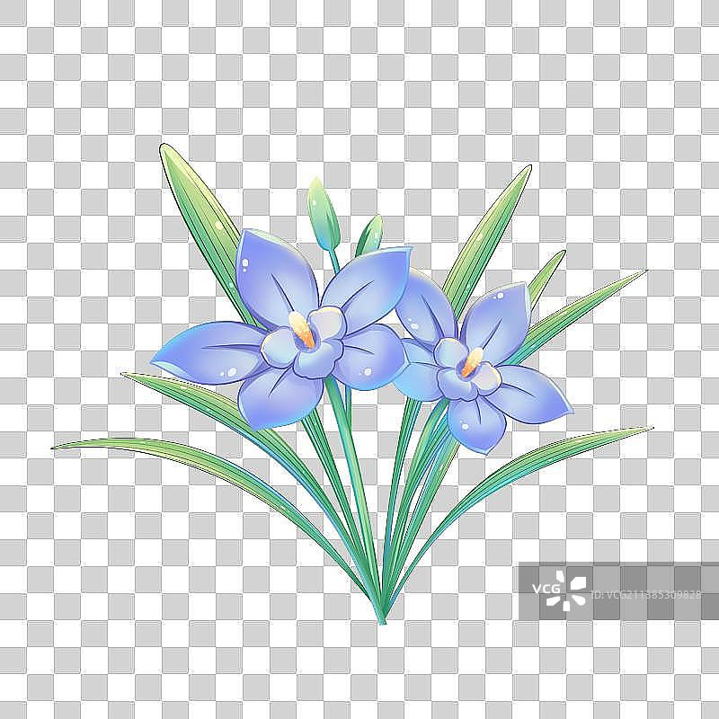 38种花卉系列素材——兰花图片素材