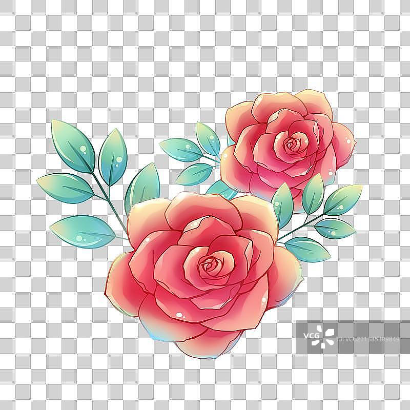 38种花卉系列素材——月季花图片素材