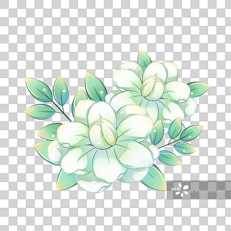 38种花卉系列素材——茉莉花图片素材