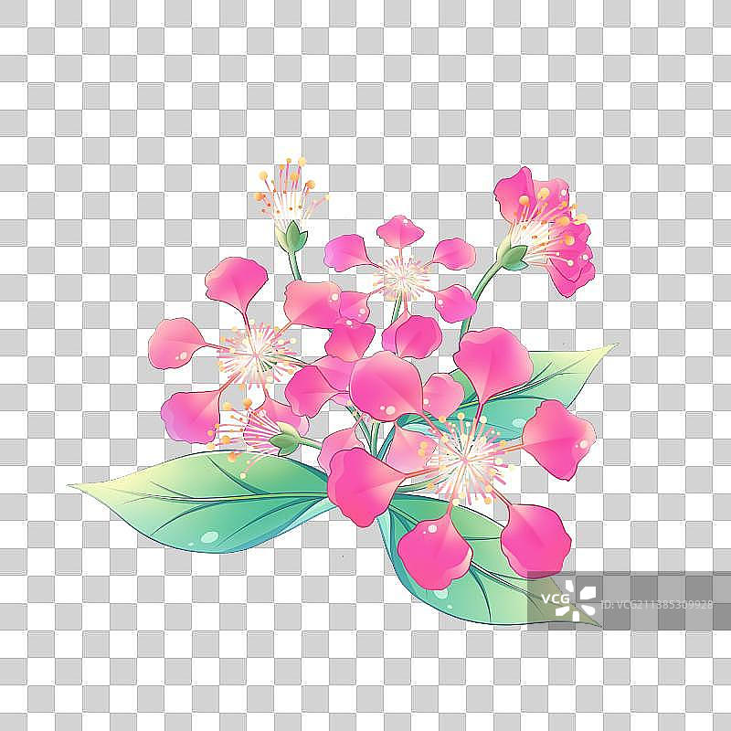 38种花卉系列素材——紫薇花图片素材