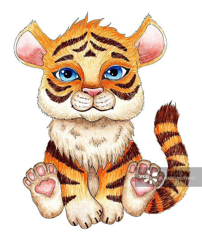 卡通坐姿老虎水彩画图片素材