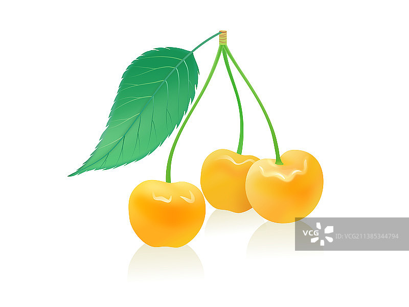 一串黄樱桃图片素材