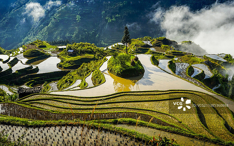 加榜梯田图片素材