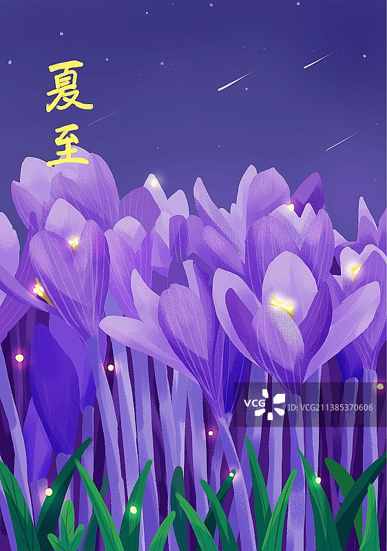 夏至夏天夜晚户外场景插画图片素材