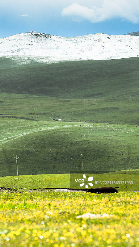 草原花海图片素材