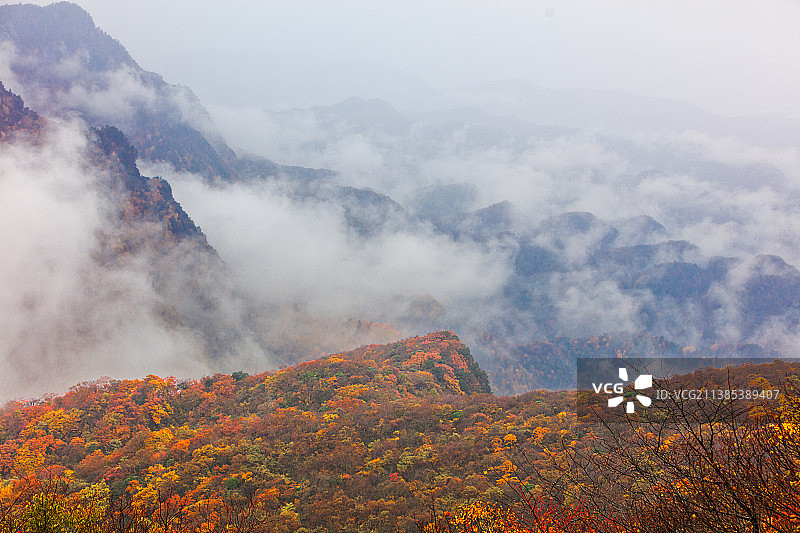 光雾山秋色图片素材