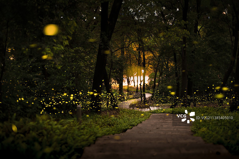 萤火之森图片素材