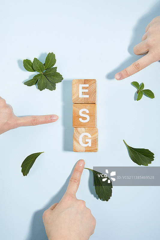 保护地球环境概念，ESG木盒手指和植物图片素材