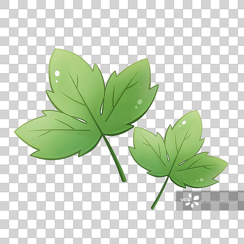 叶子系列——手绘卡通图片素材