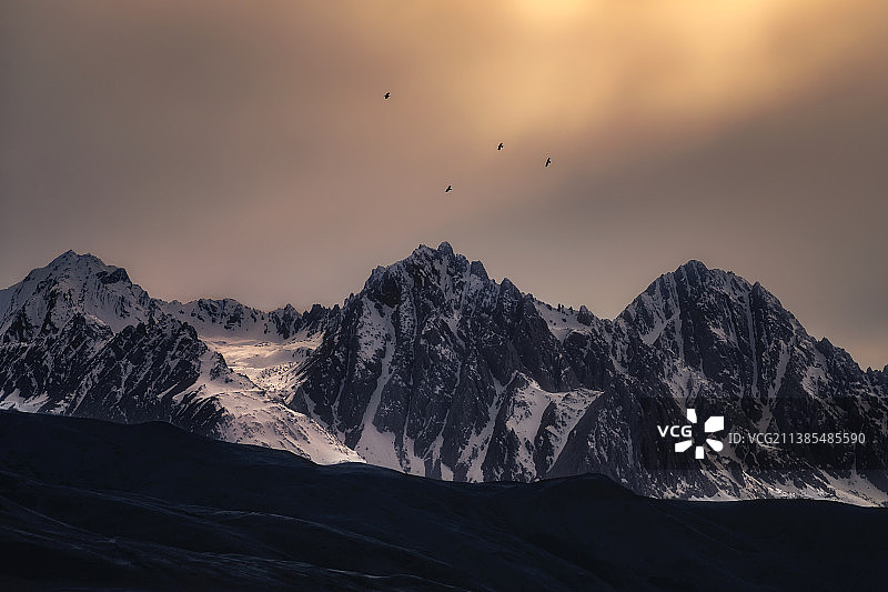 雪山飞鸟图片素材