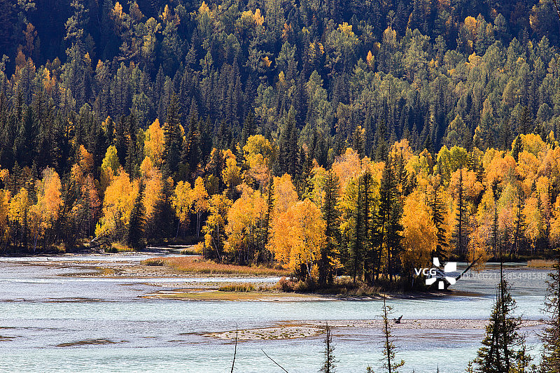 喀纳斯神仙湾图片素材