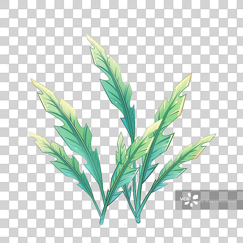 植物系列素材——唯美清新风格图片素材