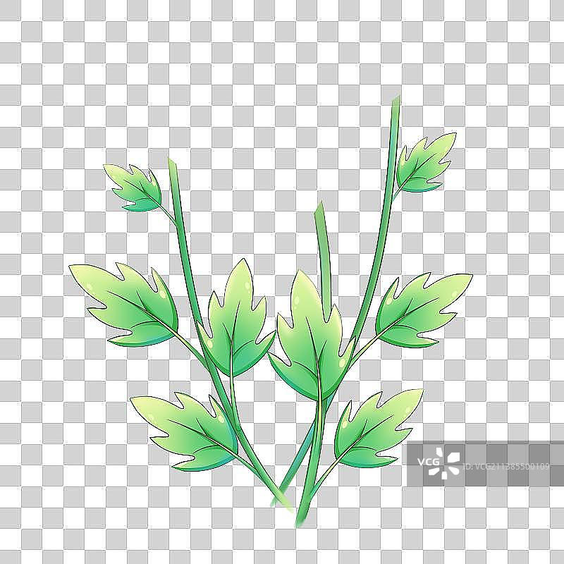 植物系列素材——唯美清新风格图片素材