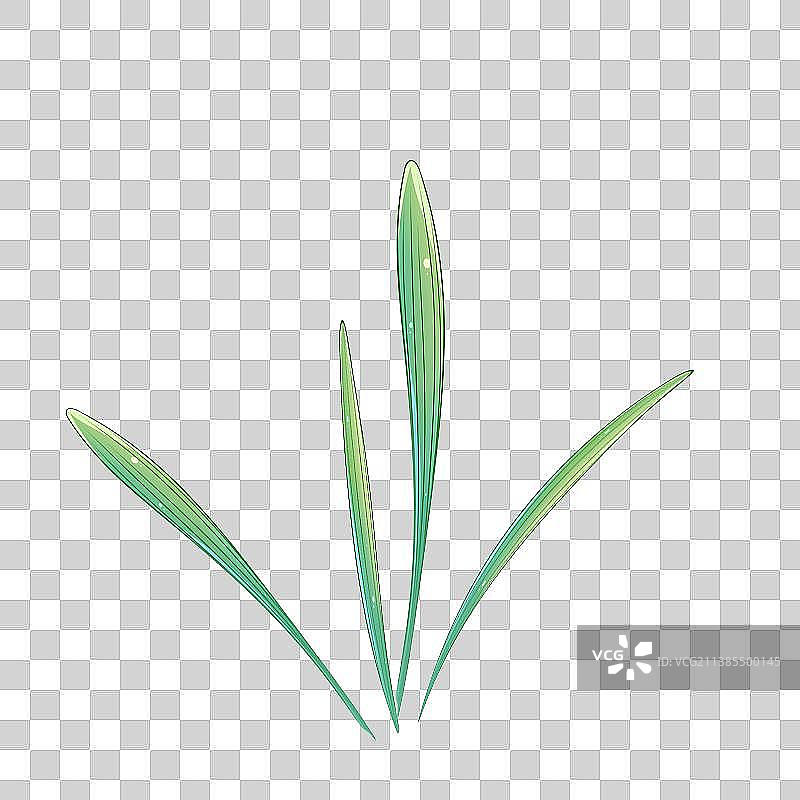 植物系列素材——唯美清新风格图片素材