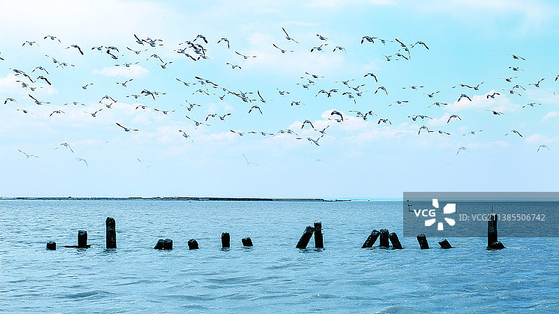 河北沧州黄骅市渤海湾图片素材