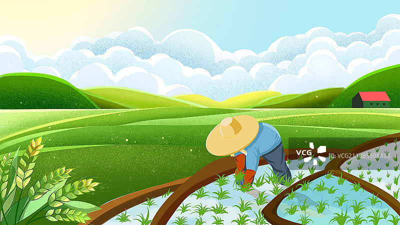 农田banner图片素材