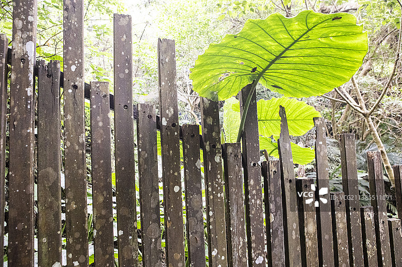 台北新店碧潭和美山休闲旅行图片素材