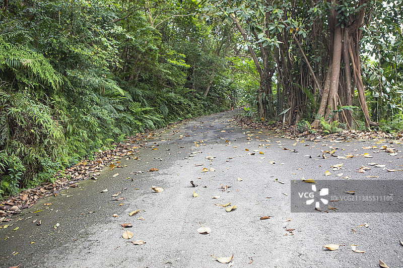 台北新店碧潭和美山休闲旅行图片素材