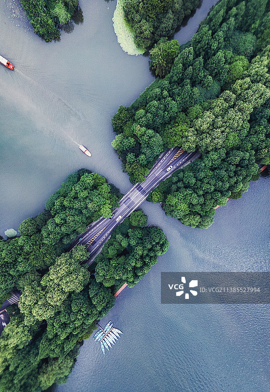 夏日杨公堤图片素材