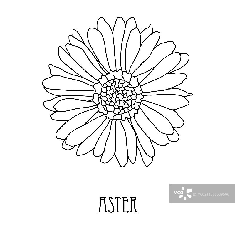 手绘花卉装饰图片素材