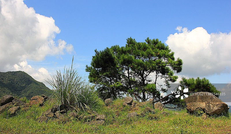 IMG_3040图片素材