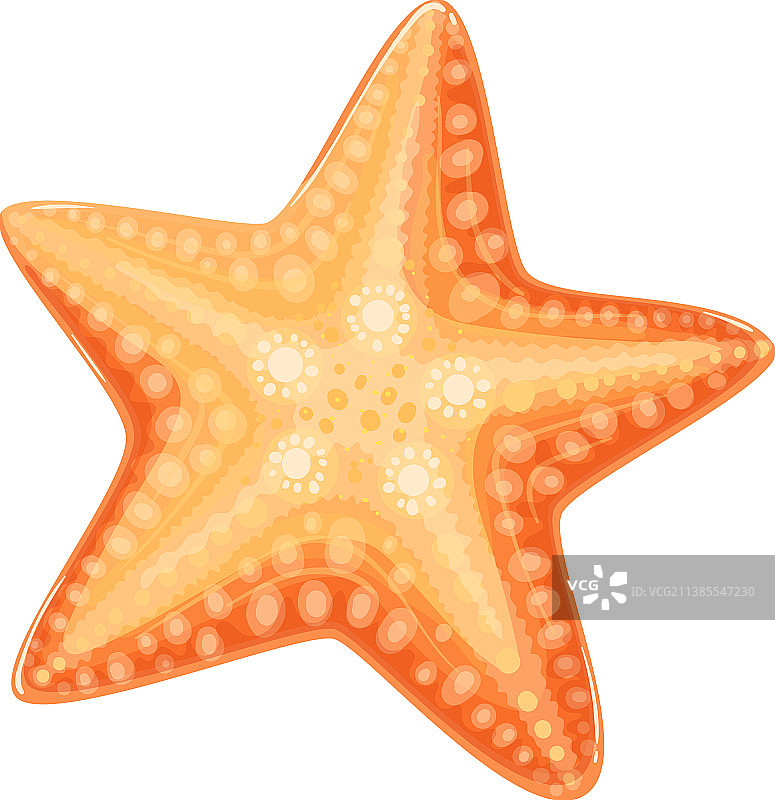 海星图片素材