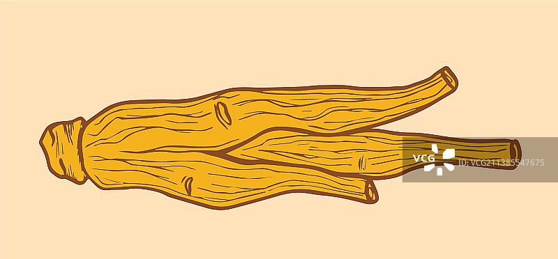 韩国红参图片素材