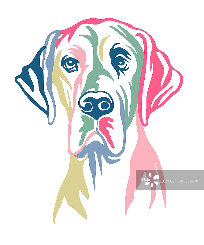 大丹犬彩色轮廓肖像图片素材