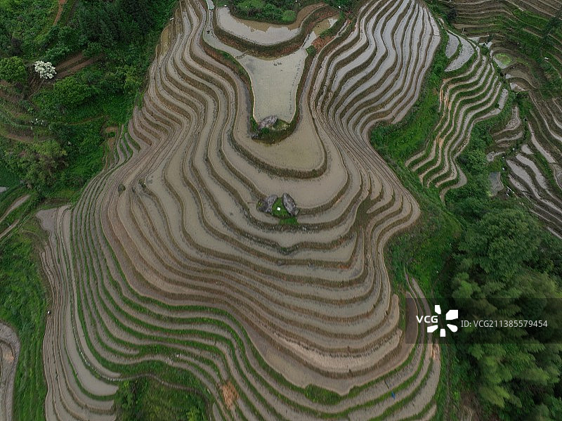 《广西桂林龙脊梯田》图片素材