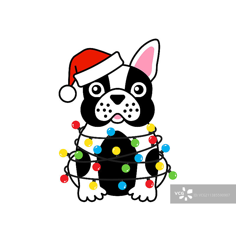 戴圣诞帽的法国斗牛犬与圣诞灯饰图片素材