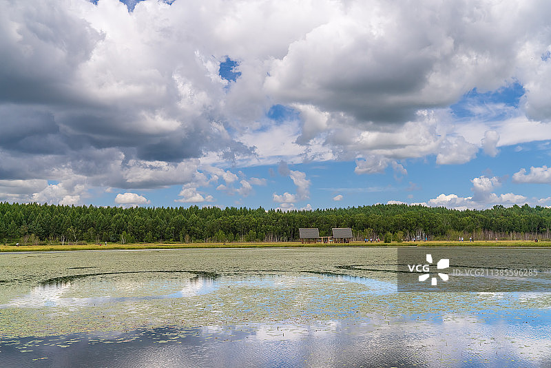 河北省塞罕坝国家森林公园，七星湖，夏天图片素材