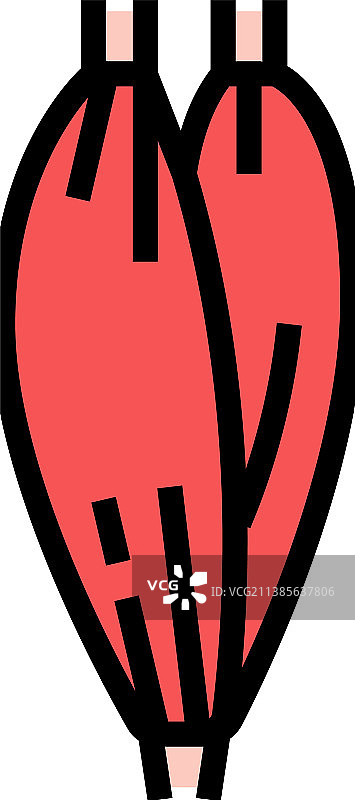 肌肉人体解剖彩色图标图片素材