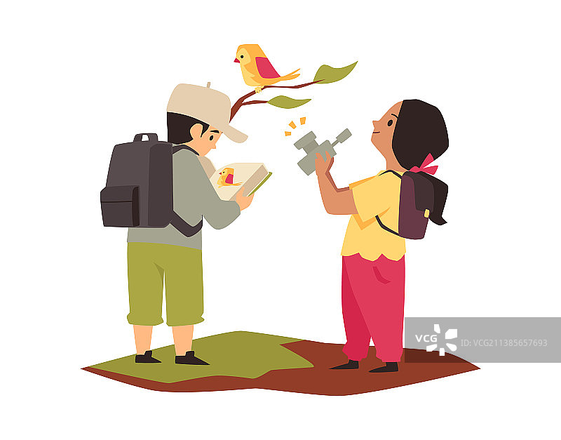 儿童观察自然研究野生鸟类（扁平风格）图片素材