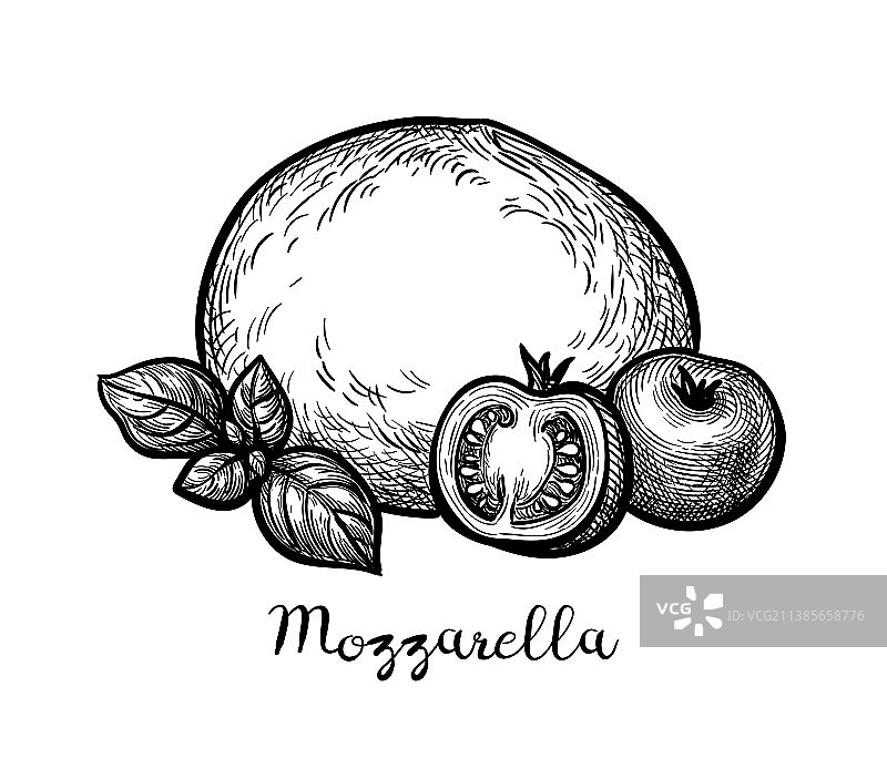 马苏里拉奶酪墨水素描图片素材