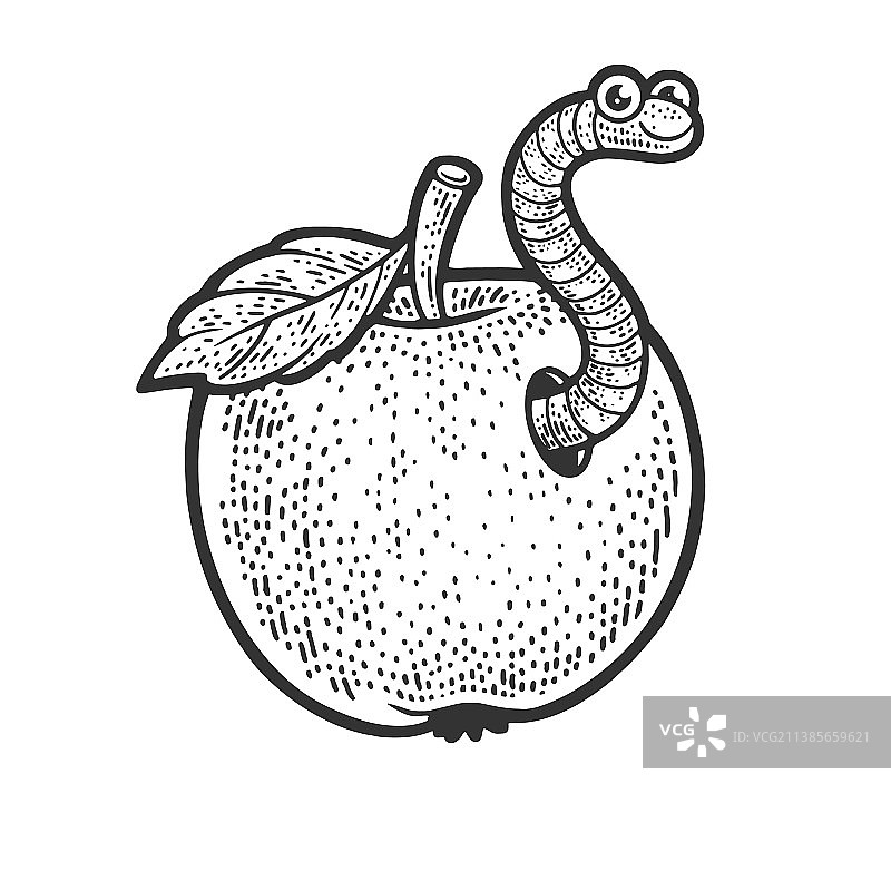 苹果里的虫子素描图片素材